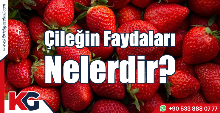 Çileğin Faydaları Nelerdir?