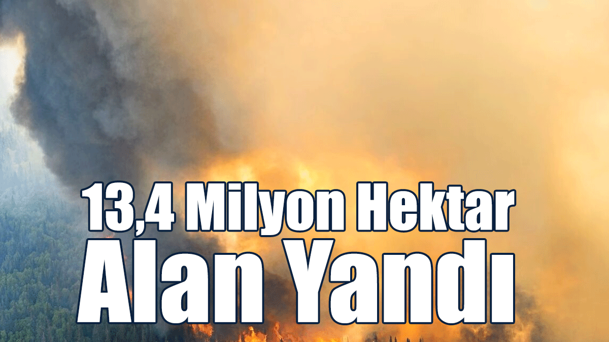 13,4 Milyon Hektar Alan Yandı