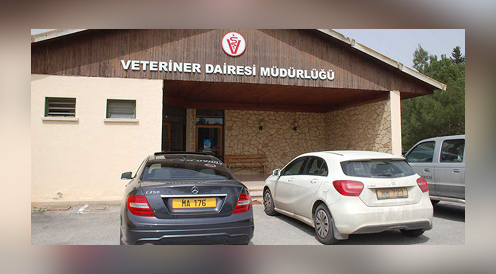 Veteriner Dairesi’nden hayvan kesimi ile ilgili uyarı