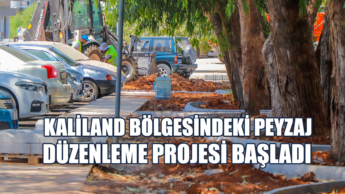 Projenin 3 Hafta İçinde Tamamlanması Planlanıyor