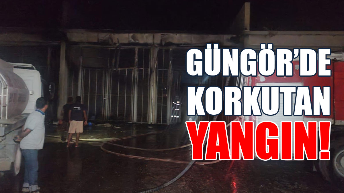 GÜNGÖR'DE KORKUTAN YANGIN!