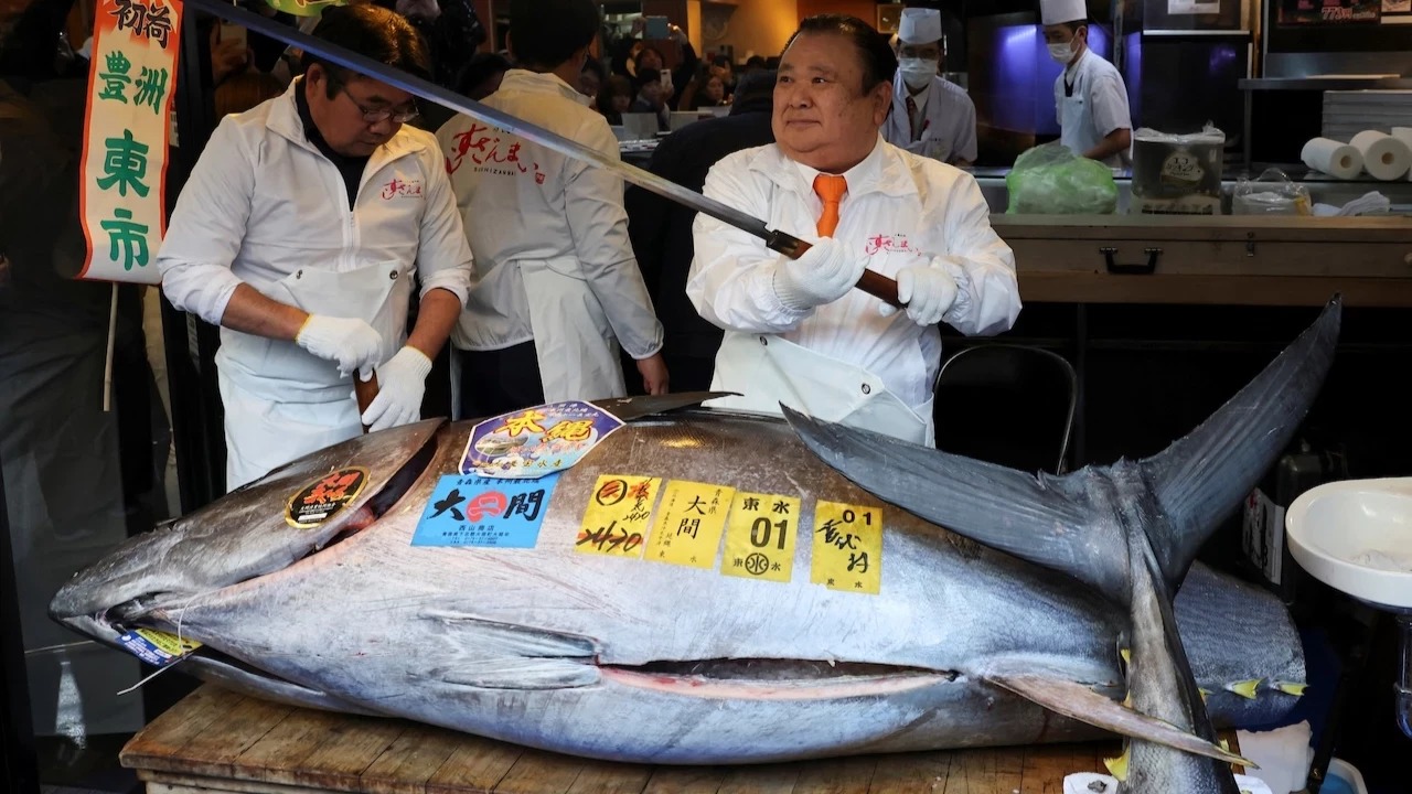 243 kiloluk balığa 139 milyon TL ödediler