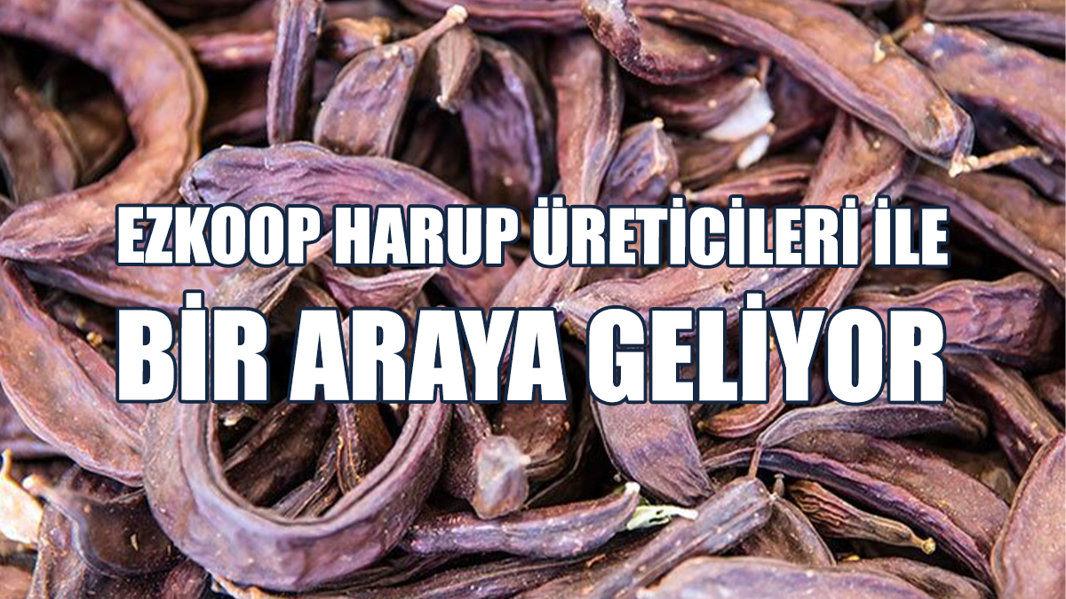 "4 Ay Geçmesine Rağmen Ödeme Yapılmadı"