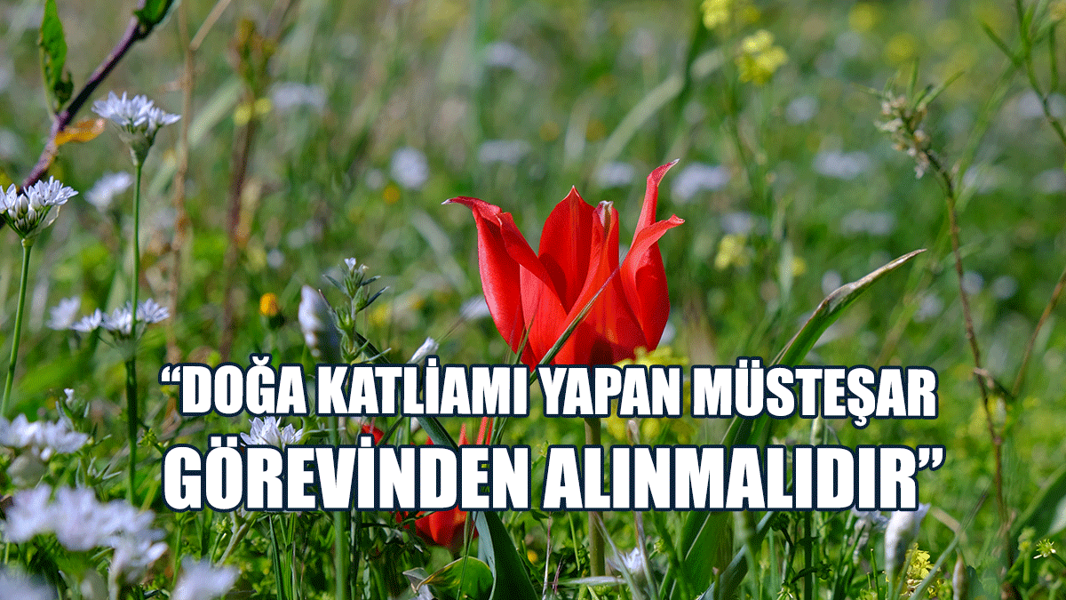 Biyologlar Derneği: Doğa Katliamı Yapan Müsteşar Görevinden Alınmalıdır