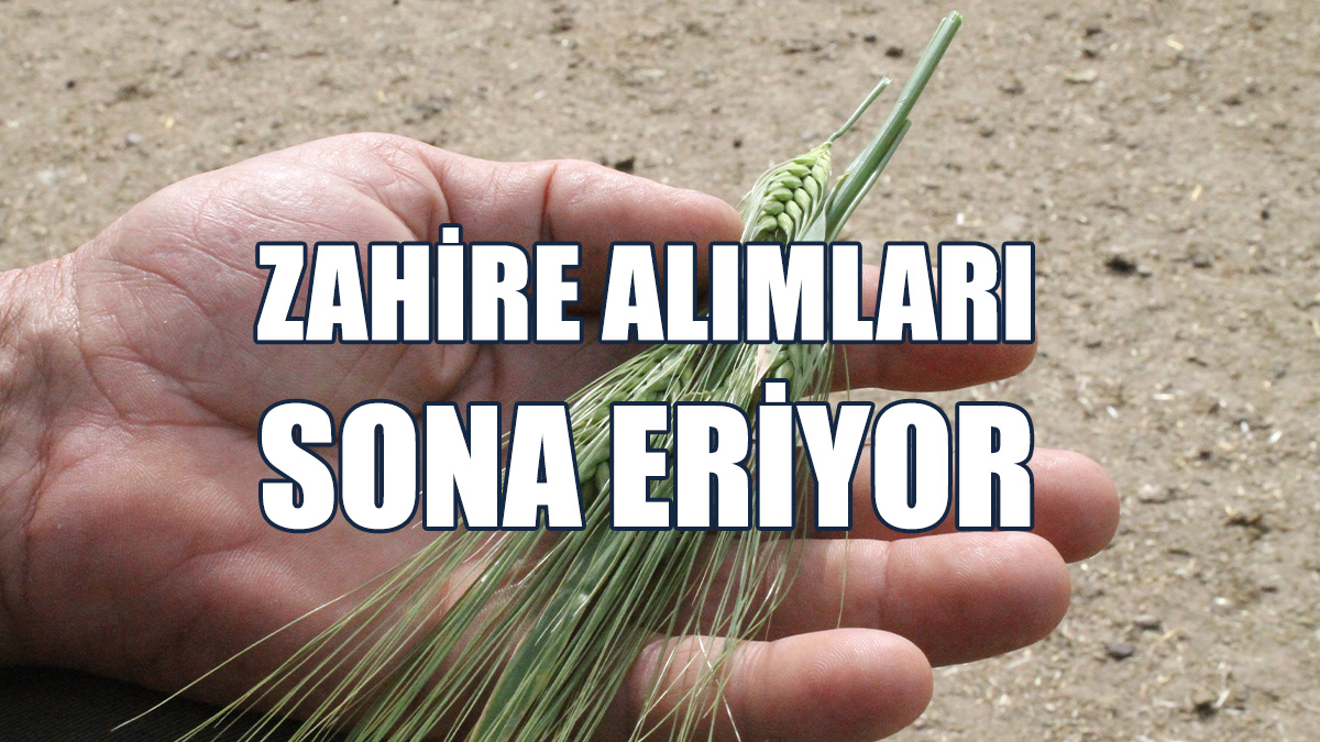 2024 Yılı Zahire Alımları Sona Eriyor