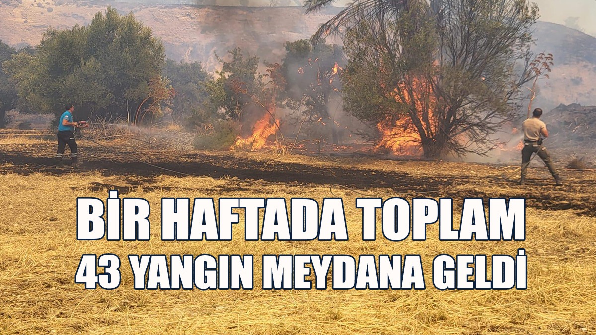 Bir Haftada Toplam 31 Servis Olayı Meydana Geldi