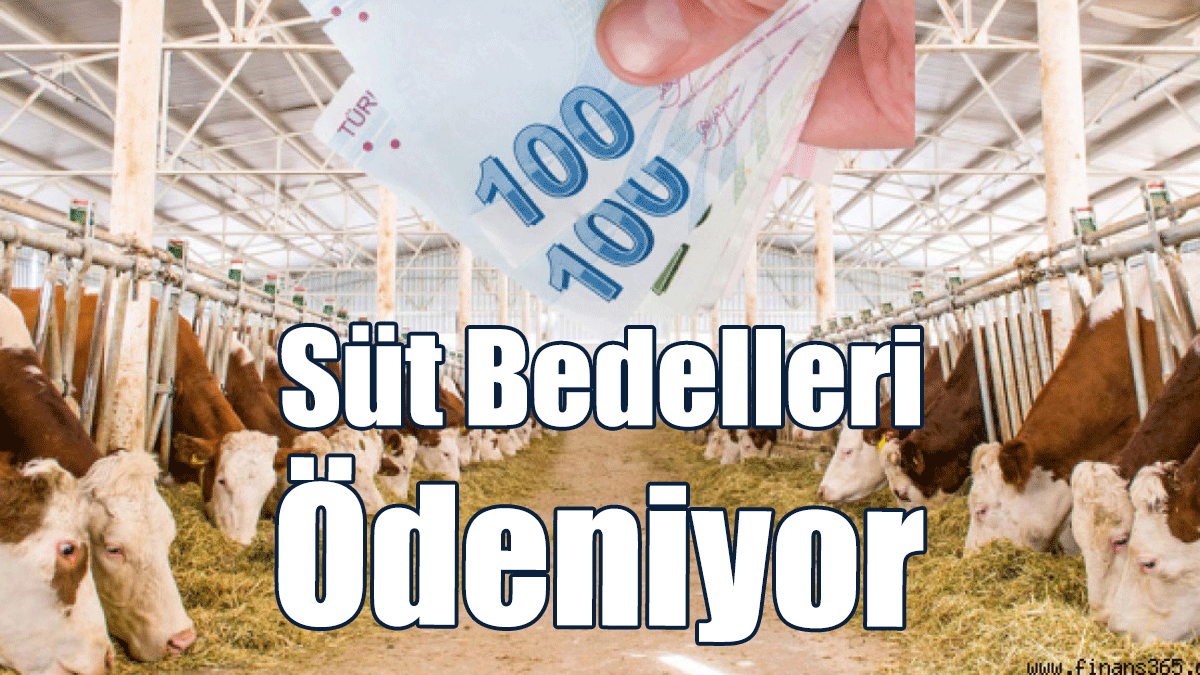 Süt Bedelleri Ödeniyor