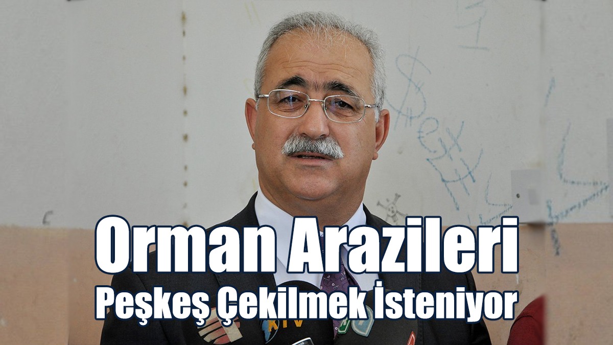 Orman Arazileri Peşkeş Çekilmek İsteniyor