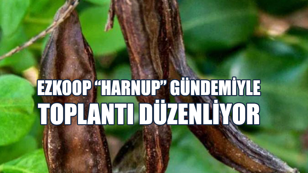 EZKOOP “Harnup” Gündemiyle Toplantı Düzenliyor