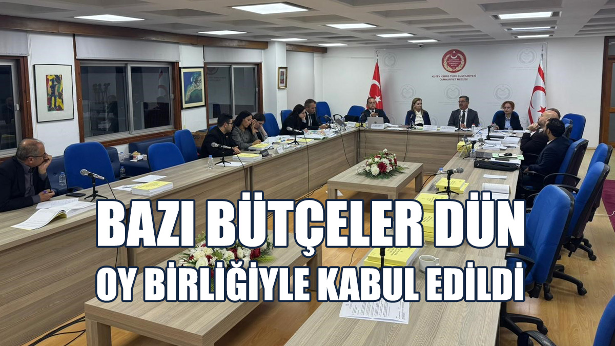 Başbakanlık Ve Bazı Kurumların Bütçesi Onaylandı