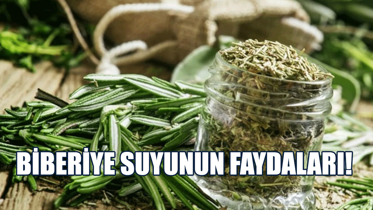 Biberiye Suyunun Faydaları!
