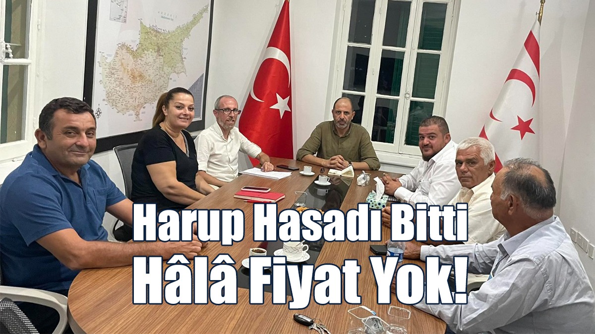 Harup Üreticisi Yalnızlığa Terk Edildi!