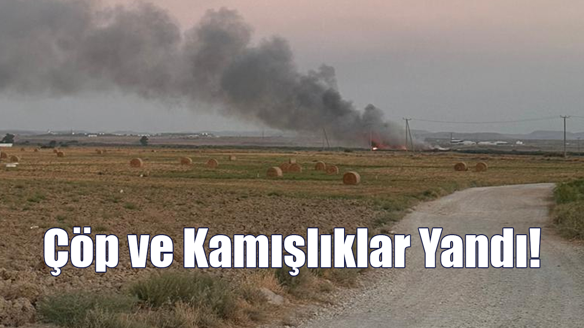 Çöp ve Kamışlıklar Yandı!