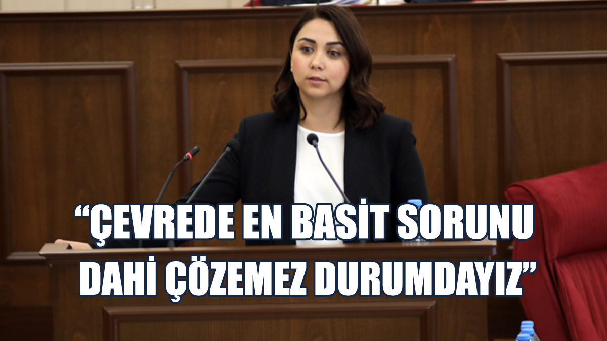 Meclis, Denetim Göreviyle Sürüyor