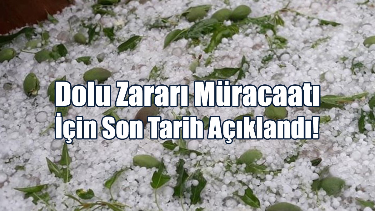 Dolu Zararı Müracaatı İçin Son Tarih Açıklandı!