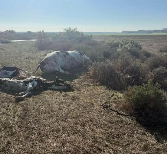 Fotoğraf tepki çekmişti: Beyarmudu Belediyesi’nden açıklama