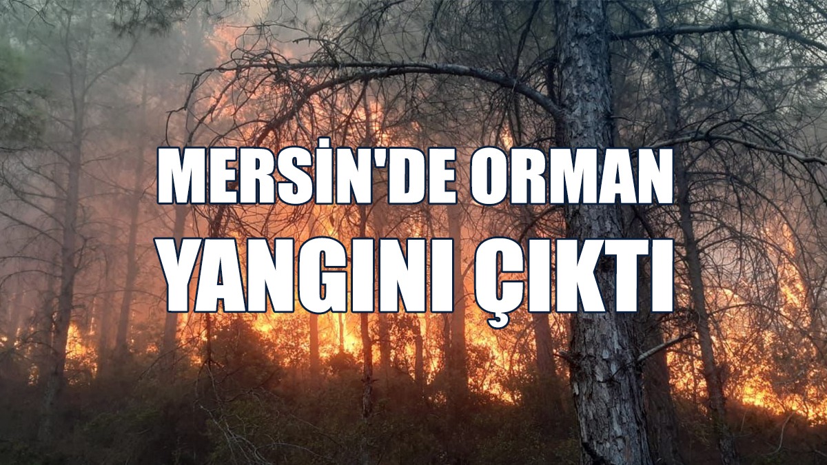 Yangına Havadan Ve Karadan Müdahale Ediliyor