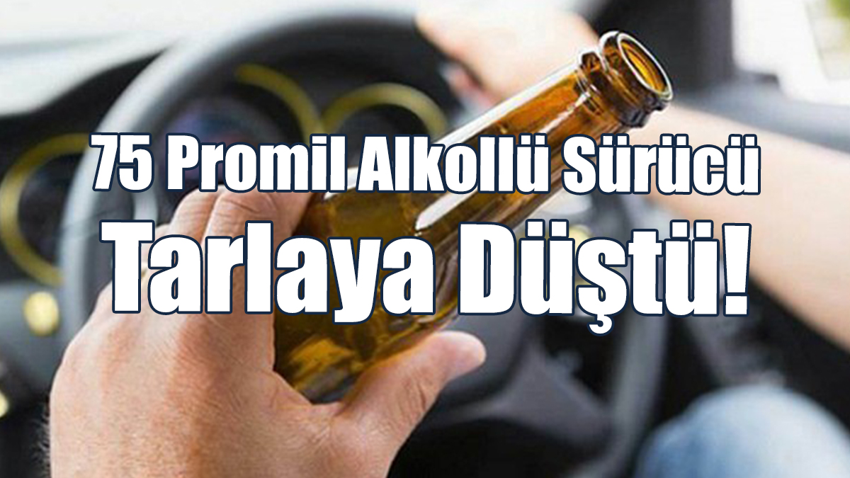 75 Promil Alkollü Sürücü Tarlaya Düştü!