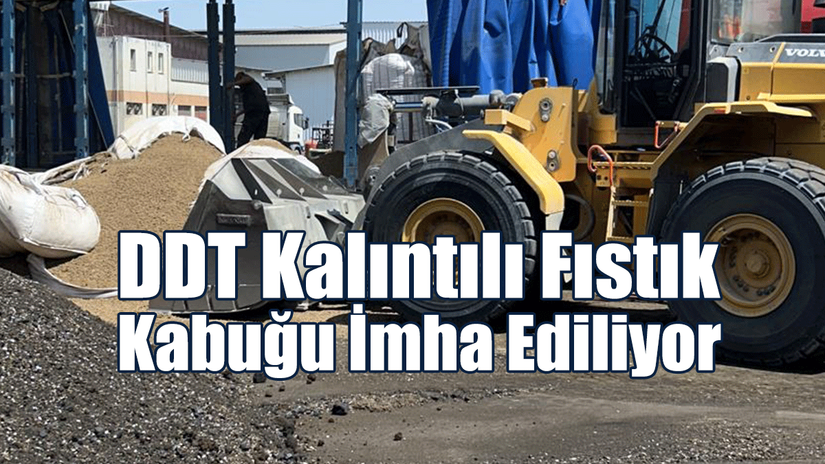 DDT Kalıntılı Fıstık Kabuğu İmha ediliyor