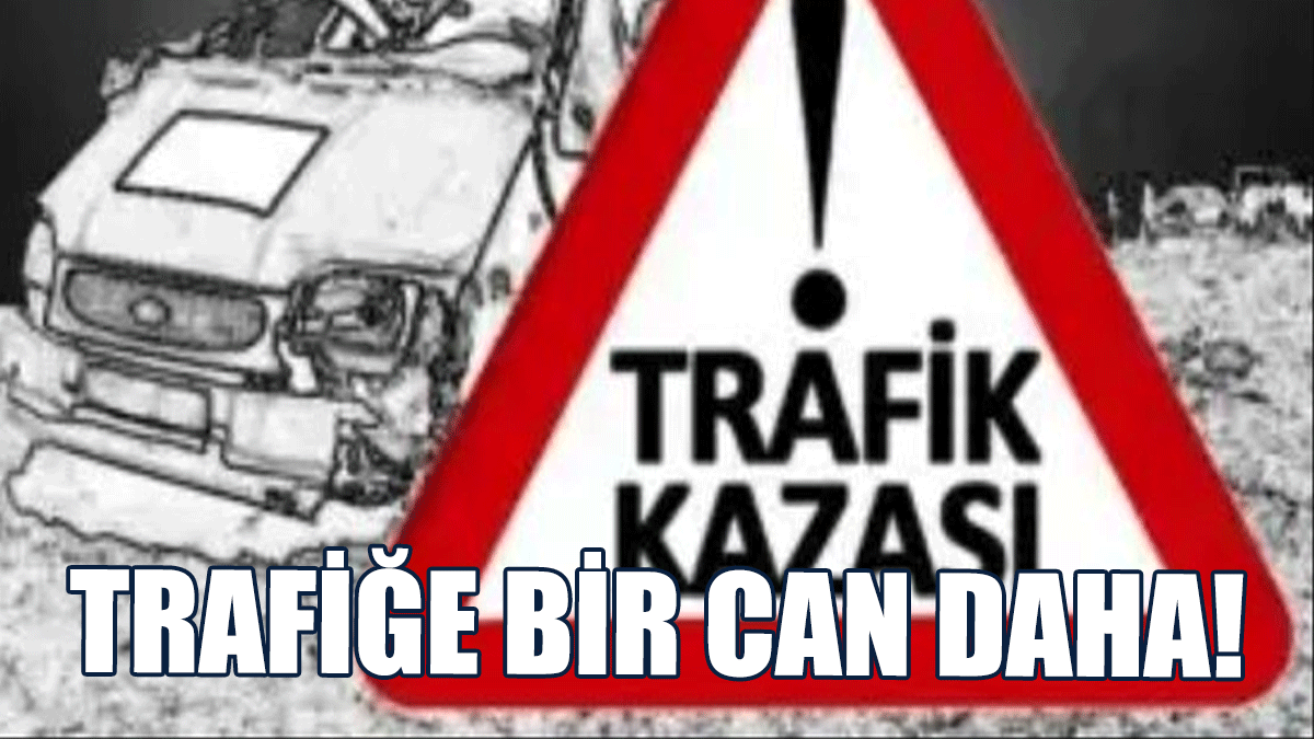 Mutluyaka'da Aracın Çarptığı 2 Yayadan 1'i Hayatını Kaybetti