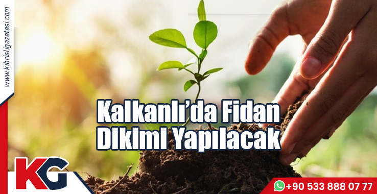 Kalkanlı’da Fidan Dikimi Yapılacak