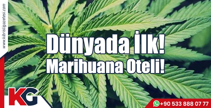 Dünyada İlk! Marihuana Oteli!