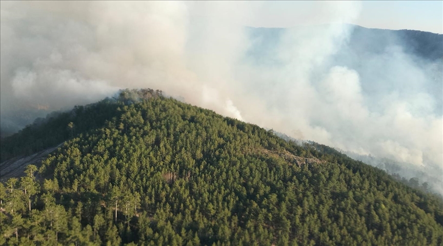 Balıkesir'de çıkan orman yangınına müdahale sürüyor
