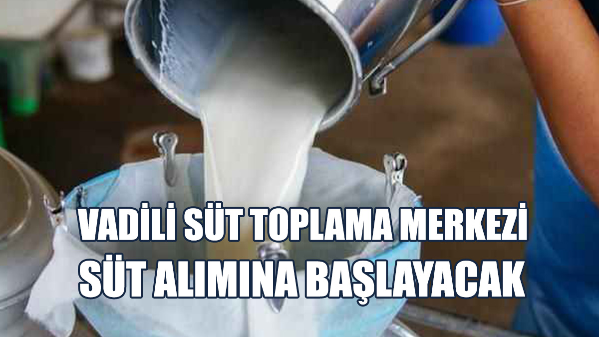 Merkez, Çarşamba Günü Koyun Ve Keçi Sütü Alımına Başlayacak