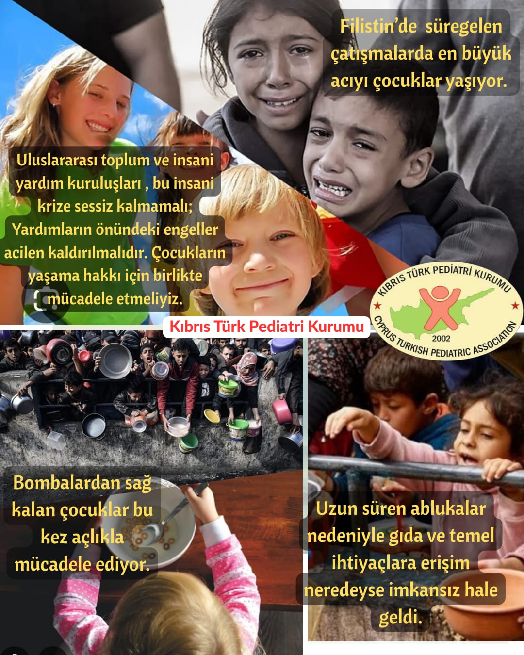 1754655509871ktpk filistin.jpg