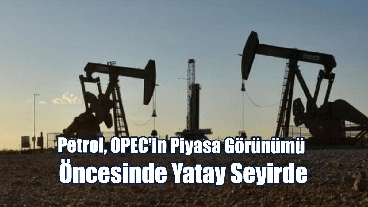 Petrol, OPEC'in Piyasa Görünümü Öncesinde Yatay Seyirde