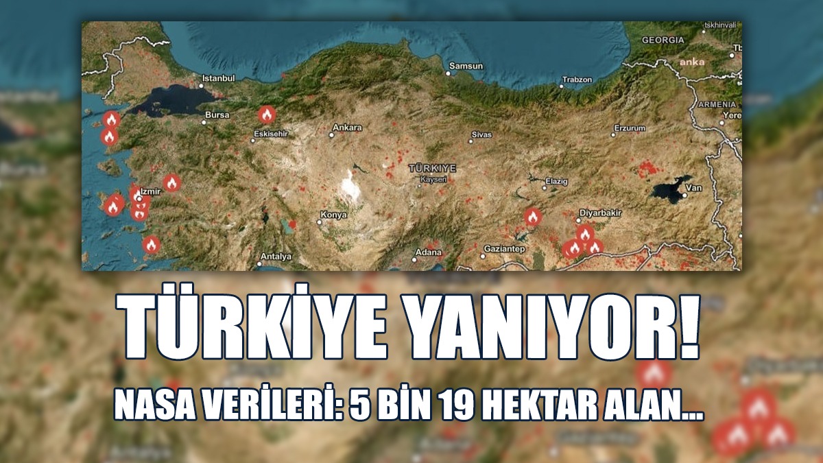 Türkiye Yanıyor: 5 Bin 19 Hektar Alan Yangından Etkilendi