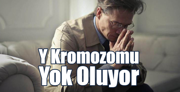 Y Kromozomu Yok Oluyor: Erkekler de Hamile Kalabilecek
