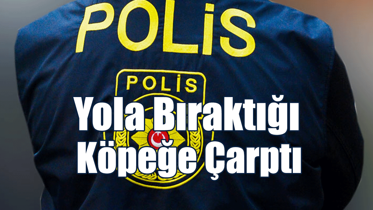 Yola Bıraktığı Köpeğe Çarptı