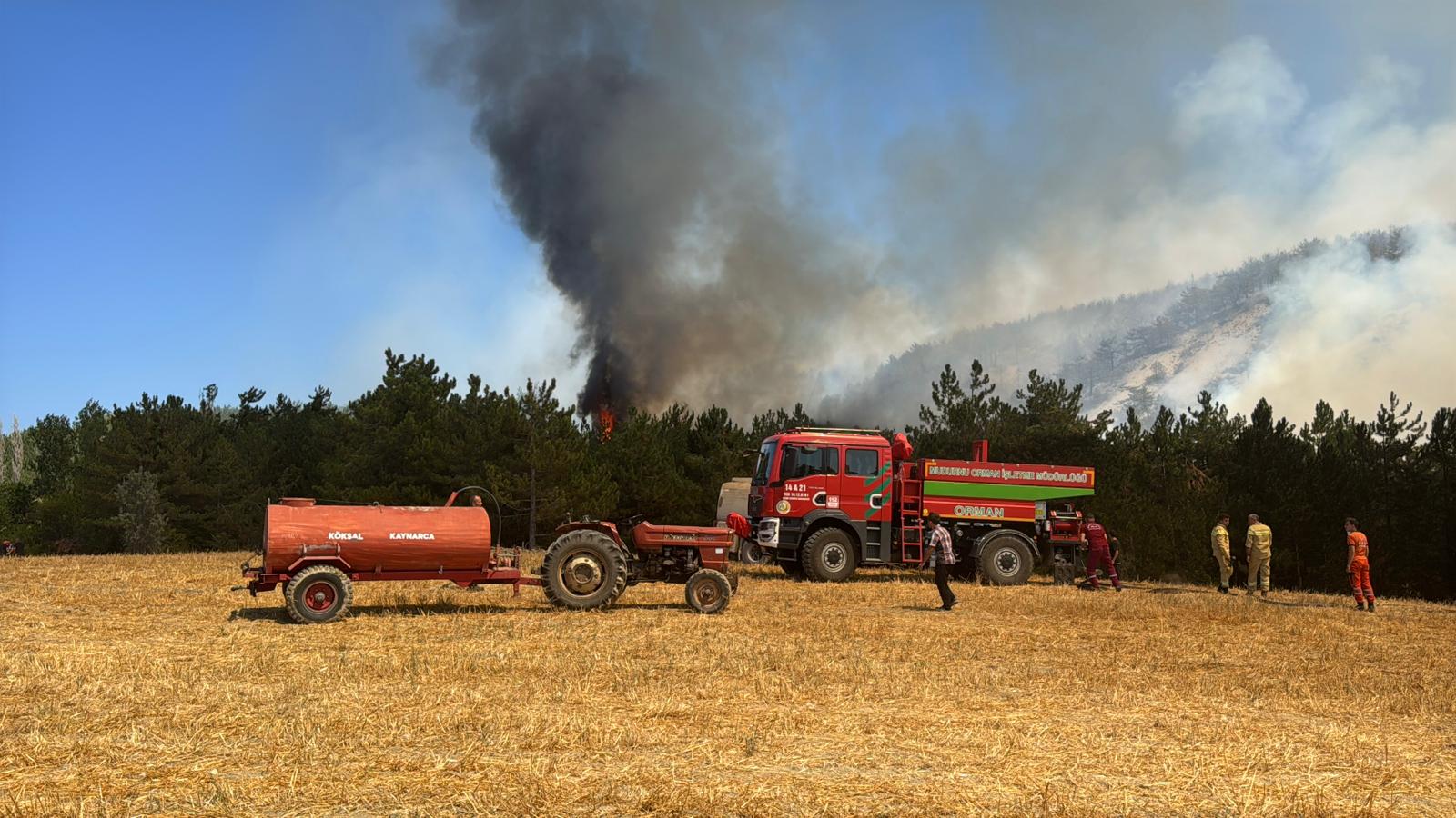 Bolu'da çıkan orman yangınına müdahale ediliyor