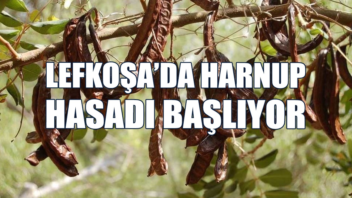 Hasat, 23 Ağustos’ta Başlayacak