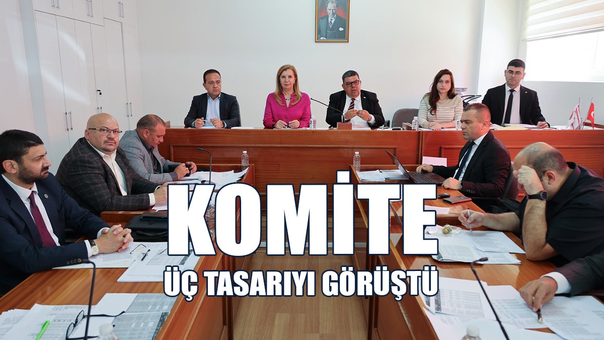 Meclis Ekonomi, Maliye, Bütçe ve Plan Komitesi Toplandı