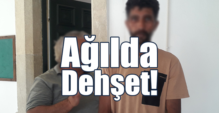 Kuzuyu Öldürüp Çuvala Koydu: Kendisini Yakalayanı Bıçakladı