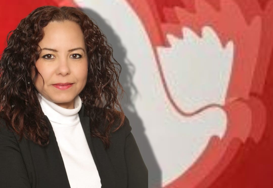 TDP: Sıradan bir vaka değil toplumsal güvenlik krizi