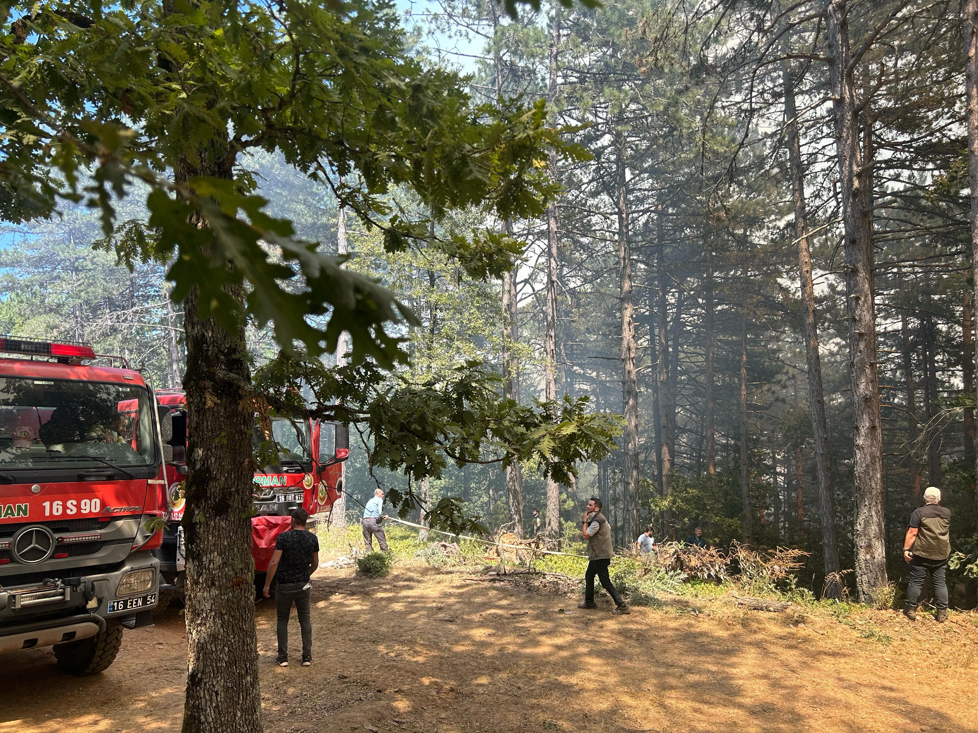 Bursa'nın 2 ilçesinde çıkan orman yangınına müdahale ediliyor