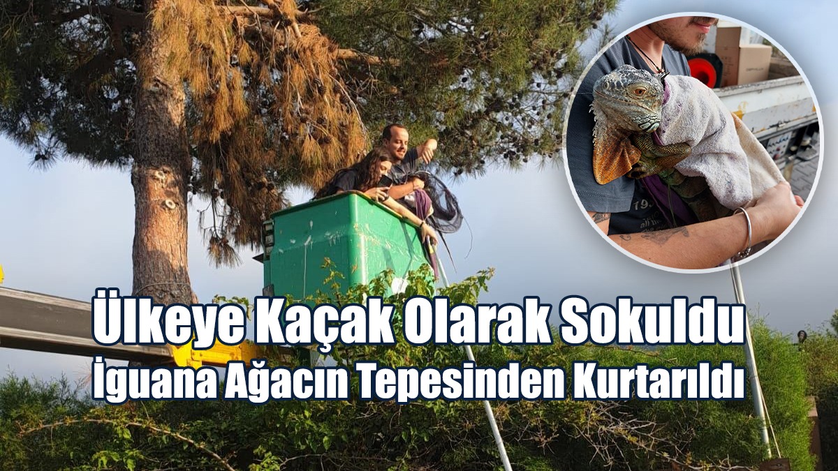 Hayvan Kaçakçılığının Önünün Alınması için Somut Adımlar Şart!