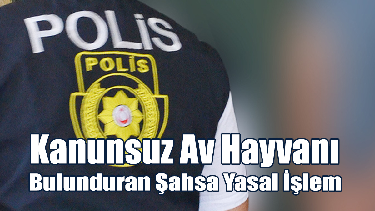 Kanunsuz Av Hayvanı Bulunduran Şahsa Yasal İşlem