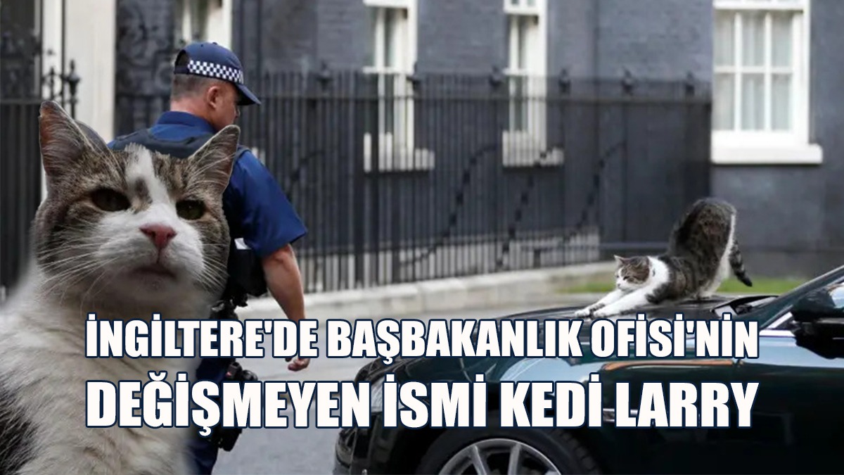 Altıncı Başbakanını Ağırlayan Kedi Larry