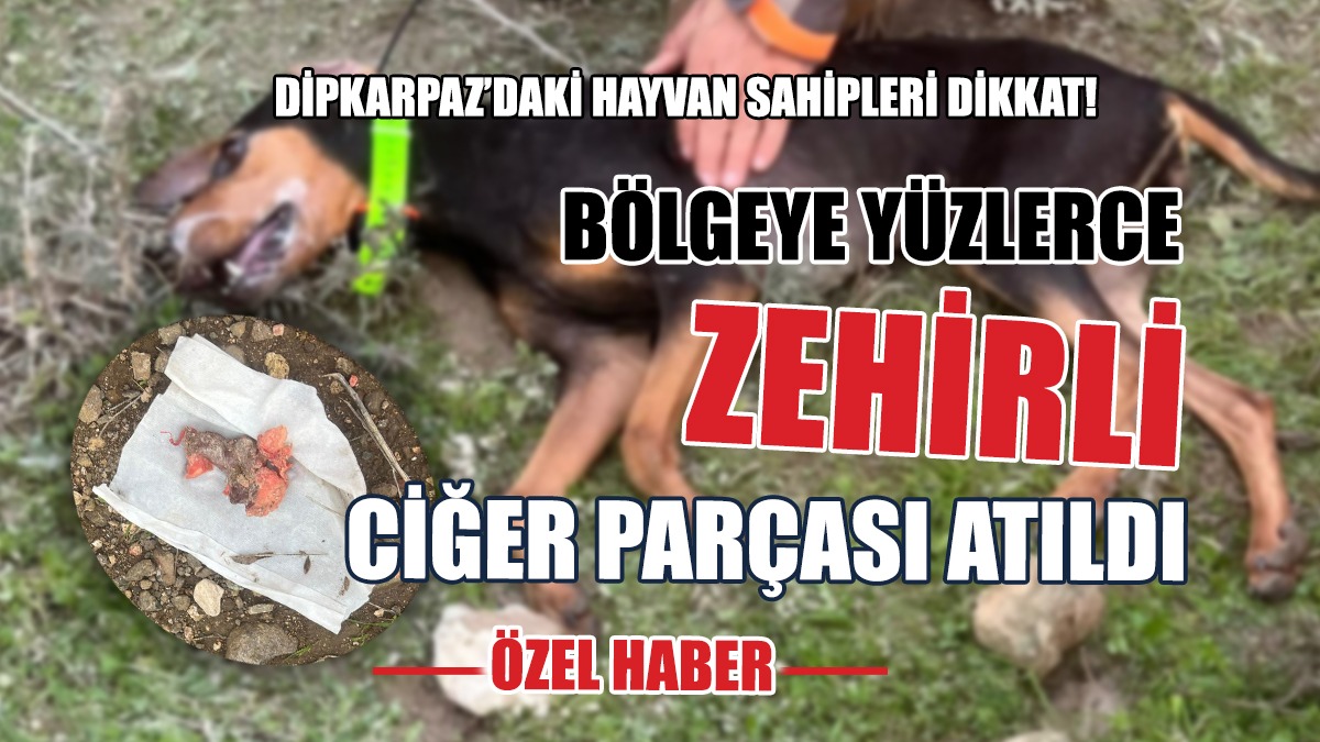 Dipkarpaz’da Bir Bölgeye Yüzlerce Zehirli Ciğer Atıldı