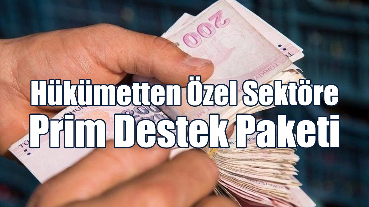 Hükümet Özel Sektöre Geniş Kapsamlı Prim Destek Paketini Açıkladı
