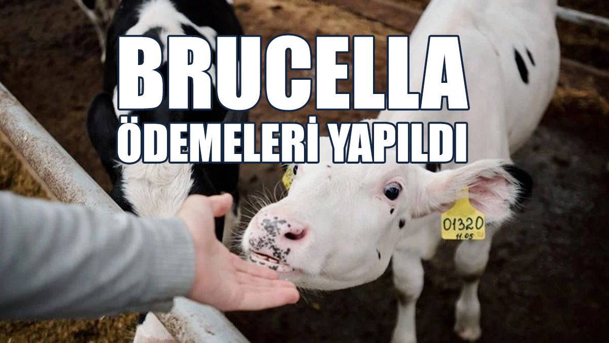 Genel Tarım Sigortası Fonu'ndan Duyuru