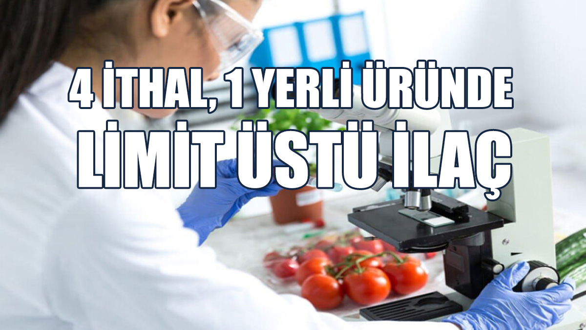 Haftalık Gıda Denetimleri Yapıldı