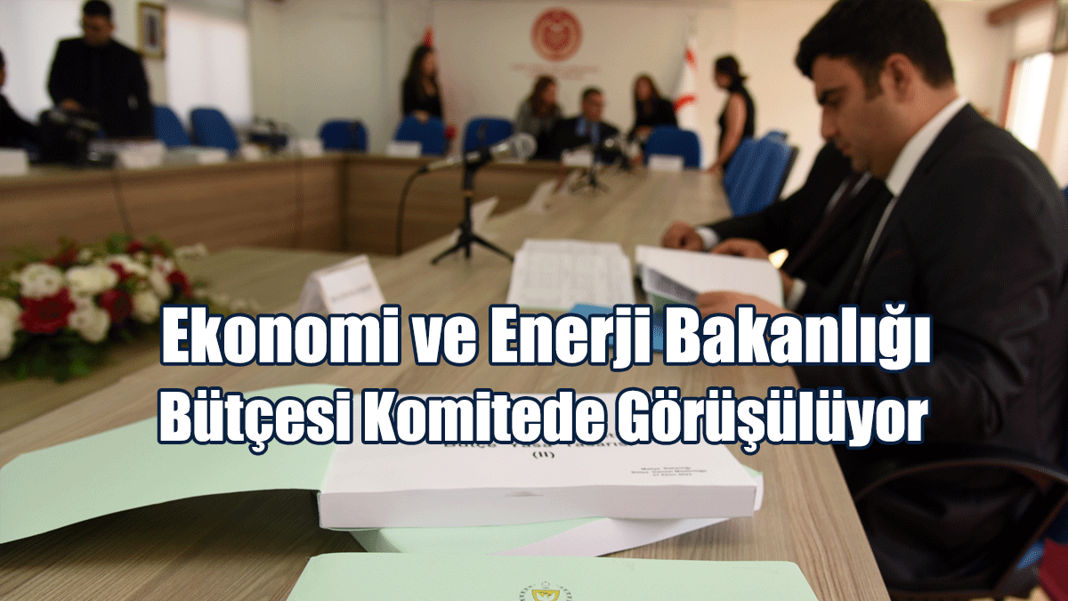 Ekonomi ve Enerji Bakanlığı Bütçesi Komitede Görüşülüyor