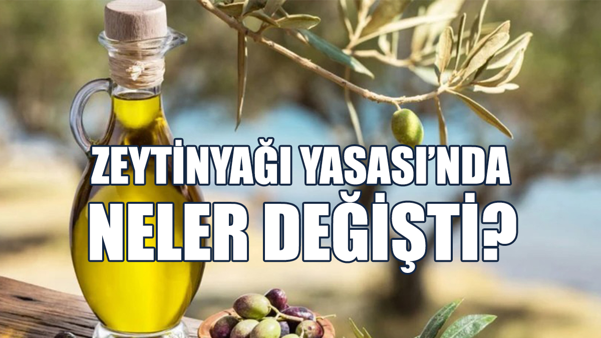 Yeni Yasada 2 Önemli Değişiklik: Cezalar Arttı!