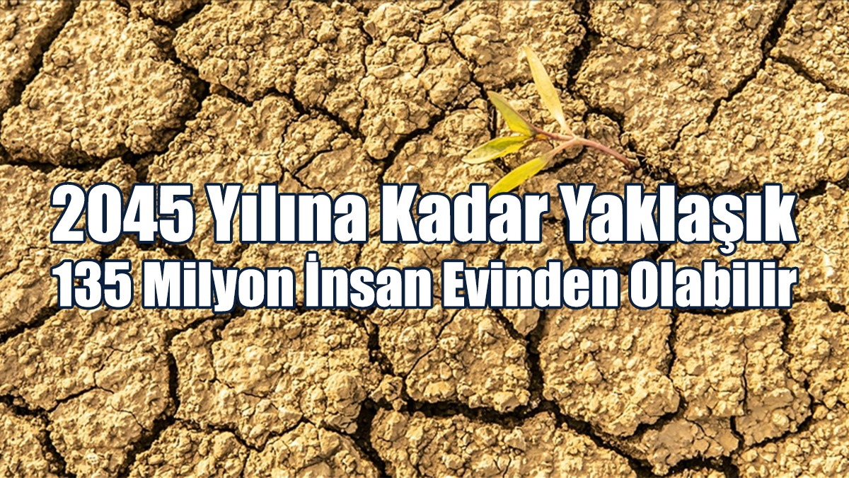 Çölleşme Tehlikesi: 2045 Yılına Kadar 135 Milyon İnsan Evsiz Kalabilir!