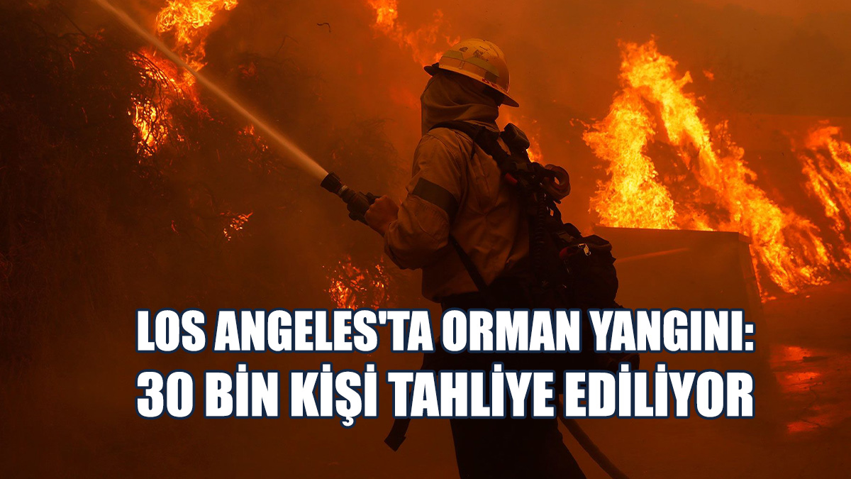 Yangında, 3 Bin Hektarlık Alan Kül Oldu